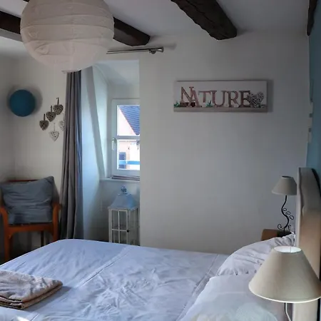 Ferienwohnung Sous Les Toits Du Zinc - Climatise Colmar Exterior foto