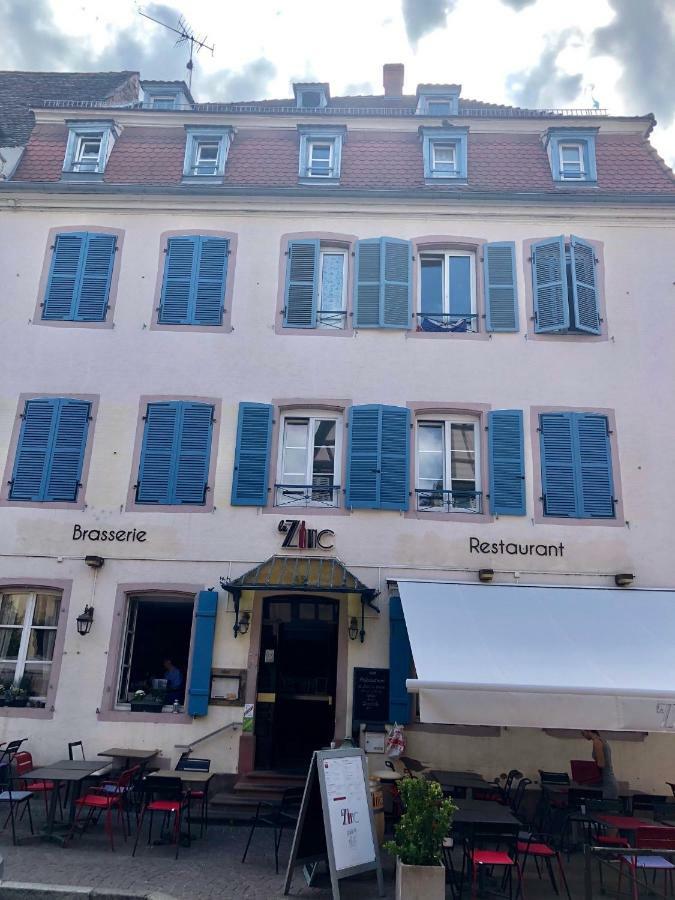 Apartment Sous Les Toits Du Zinc - Climatise *